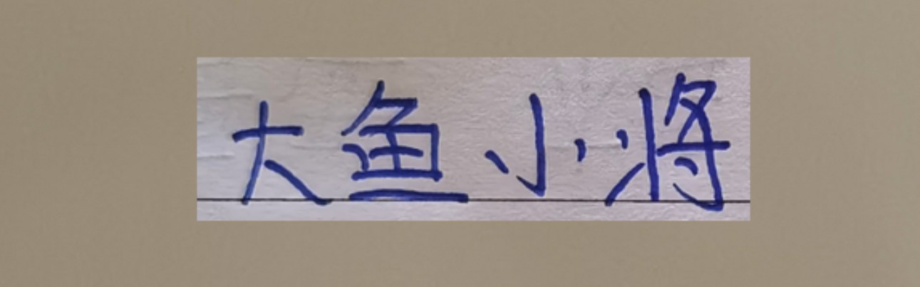 世界杯中国官方网站-超级杯海港新大鱼 带球和突破不亚于巴尔加斯！