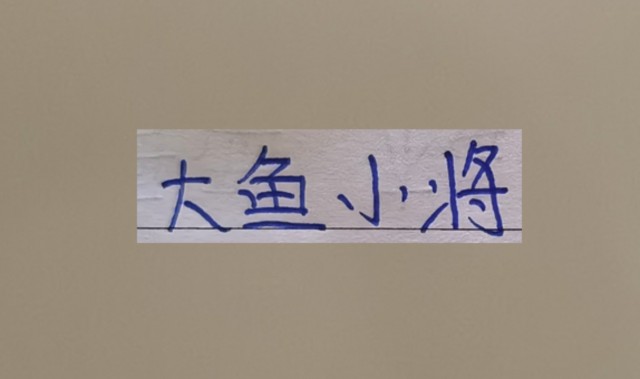 世界杯中国官方网站-超级杯海港新大鱼 带球和突破不亚于巴尔加斯！